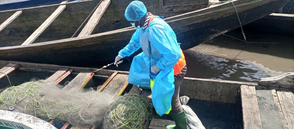 Outsourced Sustainability Support